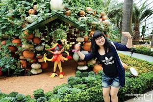 娱乐吃瓜酱花园